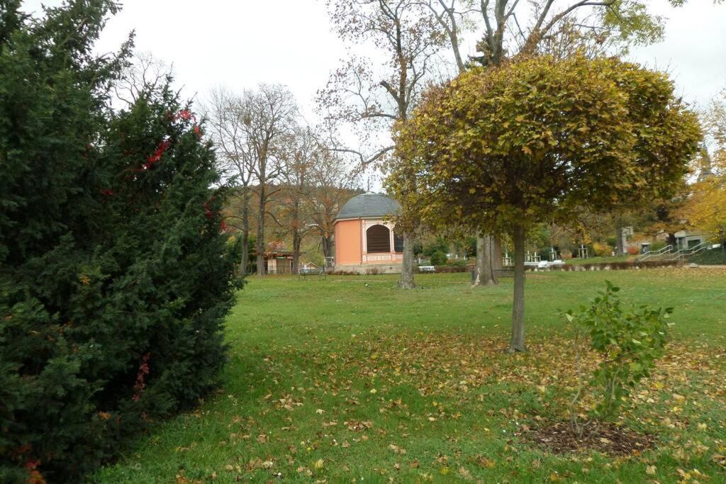Apartment Am Kurpark Bad Frankenhausen Exterior photo